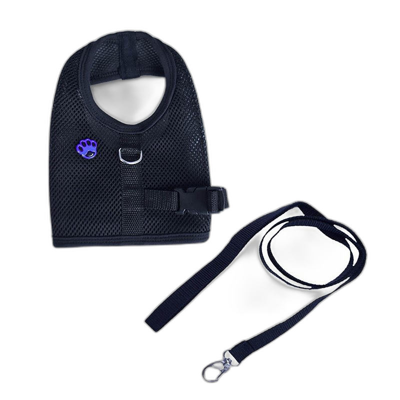 Conjunto Peitoral Ajustável e Guia Prime - Preto