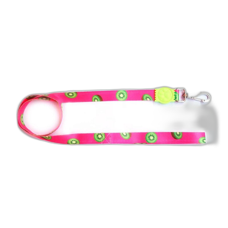 Guia Premium - Kiwi Pequena