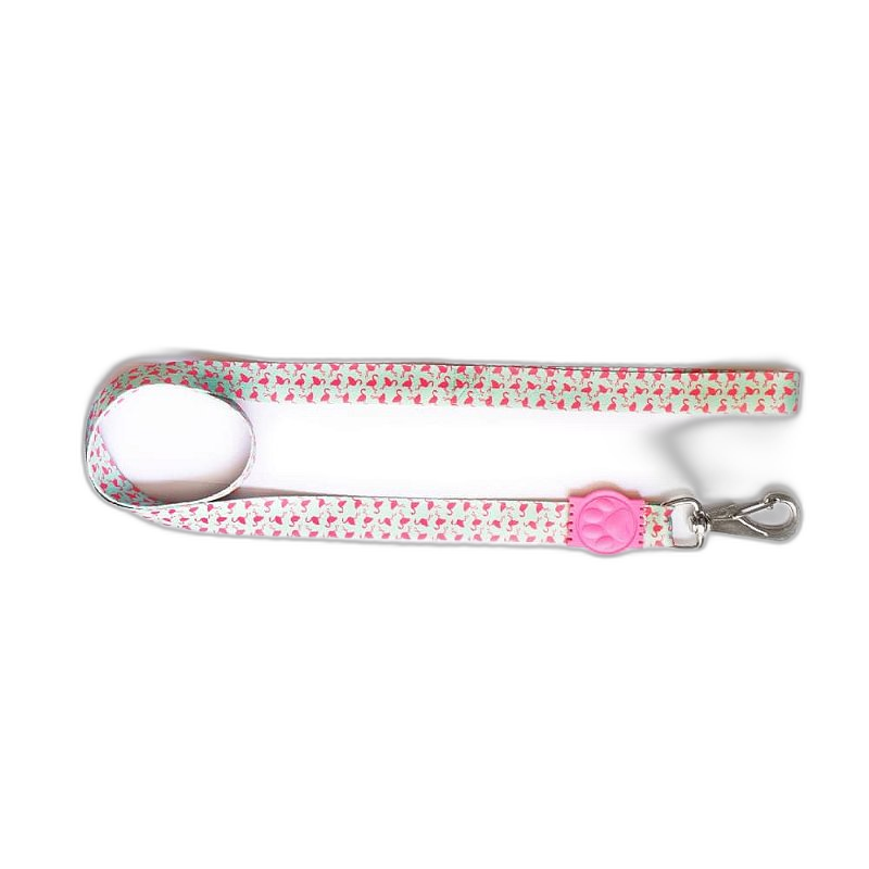 Guia Premium - Flamingo Pequena