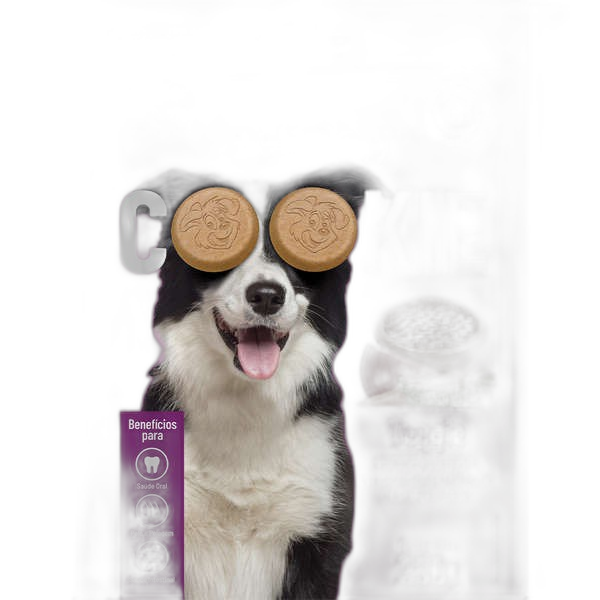 Biscoito PetDog Cookie Veggie - 250g